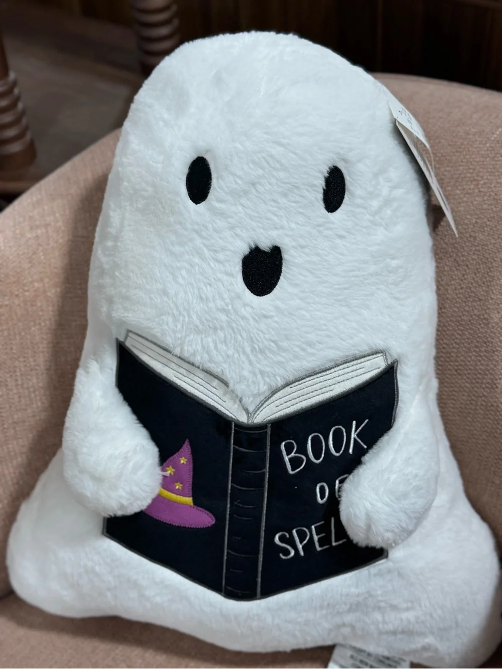 Martha stewart Book and spell ghost pillow